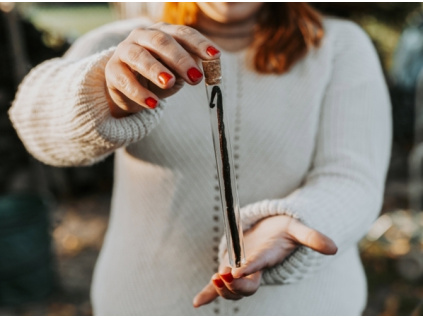 vanilkový lusk premium