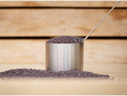 horké semienko čierne