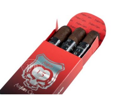 Asylum 13 Robusto 50x5 3´S