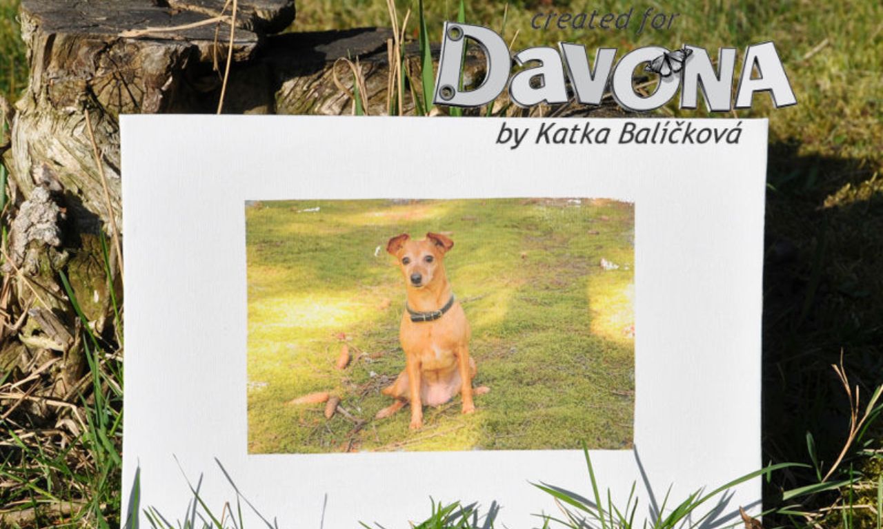 Přenos fotografie na plátno