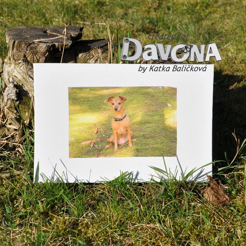 Přenos fotografie na plátno