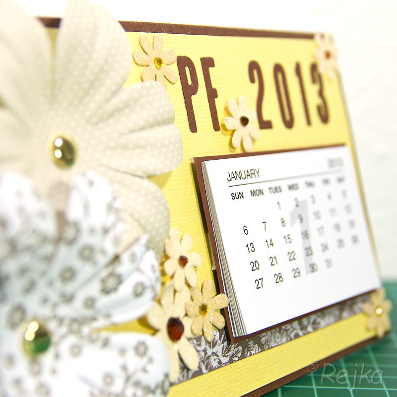 PF 2013