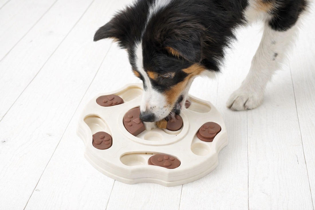 Většina páničků netuší, co plnící hračky dělají s psychikou psa