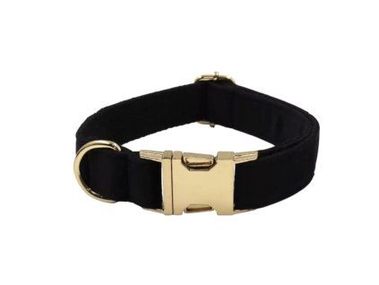 Černý sametový obojek Daxie