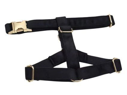 Černý sametový postroj Daxie