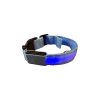Modrý svíticí obojek