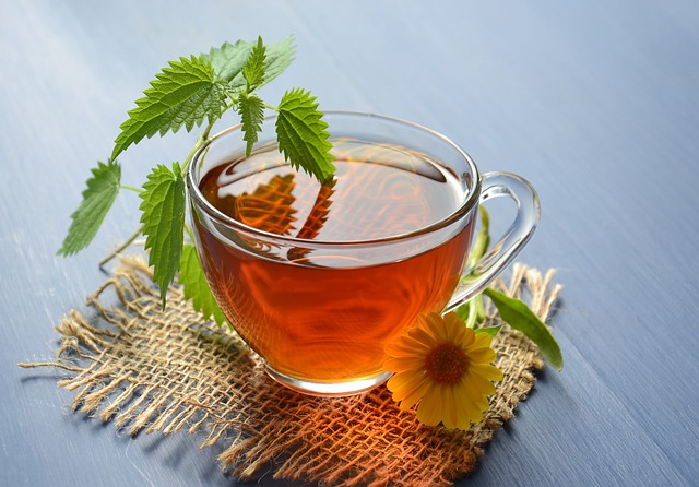 Kopřivový čaj a jeho účinky: zázračný pomocník při detoxikaci a hubnutí
