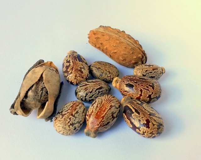 Ricin1