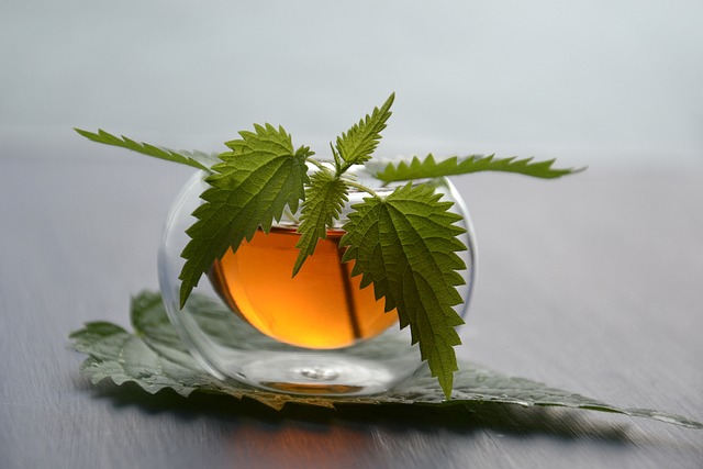 tea-3833598_640