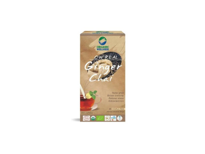 BIO GINGER CHAI, 25 sáčků, EXP 10/20 akce 1+1