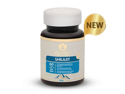 shilajit en