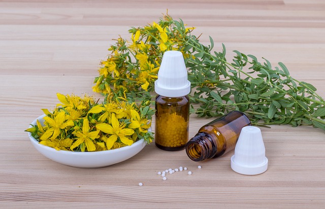 Čarovná bylina svätého Jána či ľubovník bodkovaný a jeho účinky na telo aj myseľ