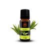 BIO 100% Esenciálny olej Tea Tree, 10 ml, Day Spa
