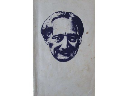 Šílenství lásky