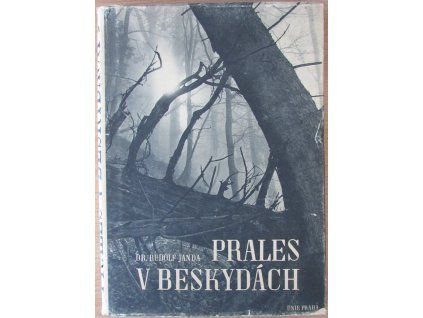 Prales v Beskydách