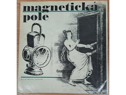 Magnetická pole