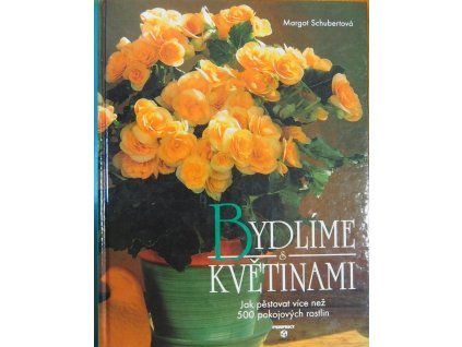 P2060851