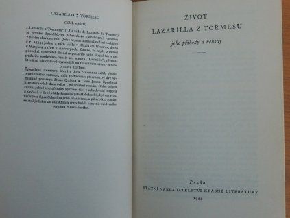 P1010907