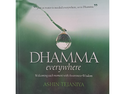 Dhamma everywhere