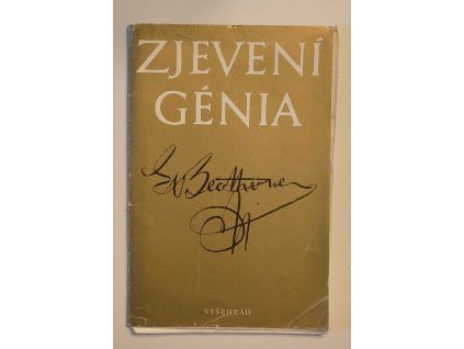 Zjevení génia