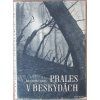 Prales v Beskydách