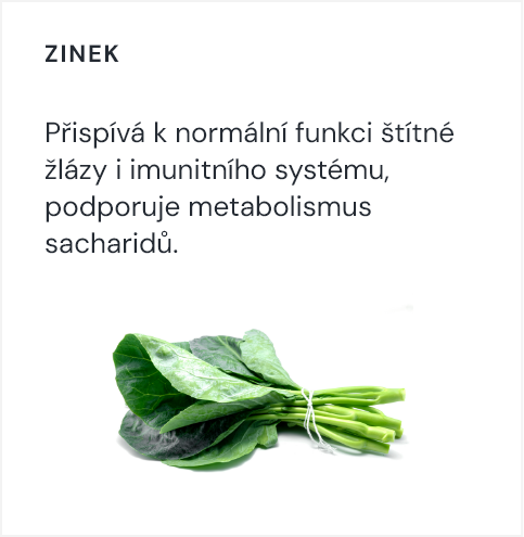 Zinek