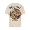 Wasted cat back