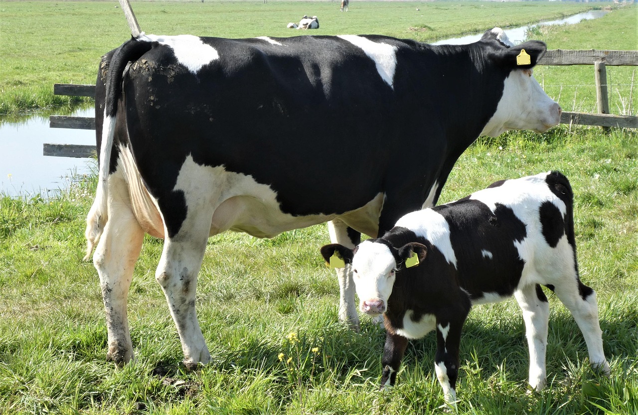 01. Mladí farmáři - tematický výlet na farmu