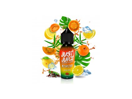7228 prichut just juice shake and vape 10ml lulo citrus