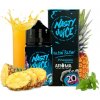 Příchuť Nasty Juice - Double Fruity S&V 20ml Slow Blow