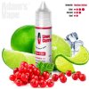 prichut adams vape shake and vape 10ml lime currant
