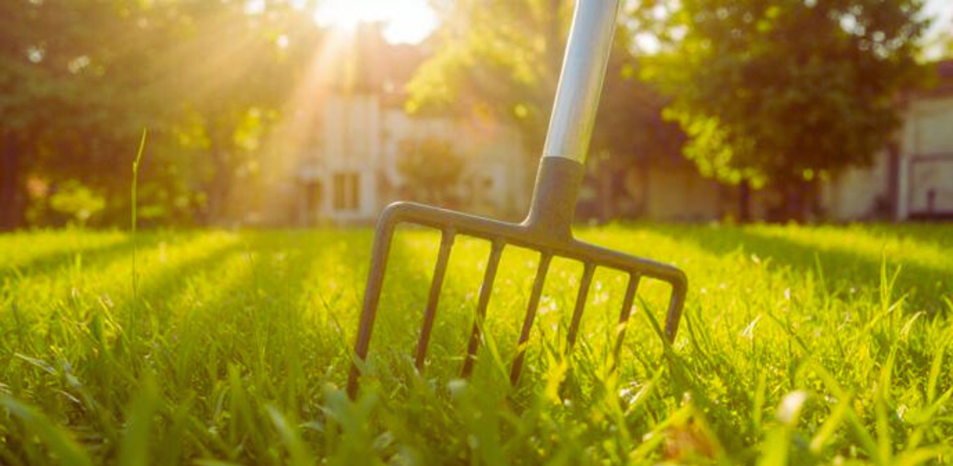 Kedy a ako správne aerifikovať trávnik pre dokonalý výsledok