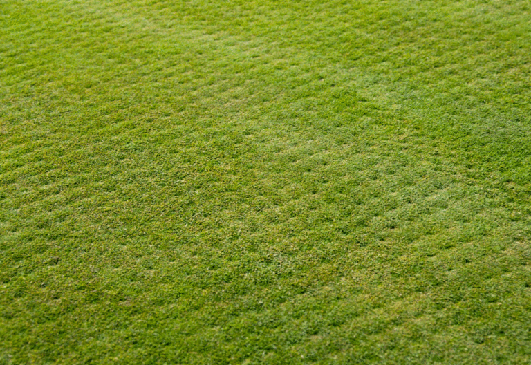 aerifikacetravniku-768x528