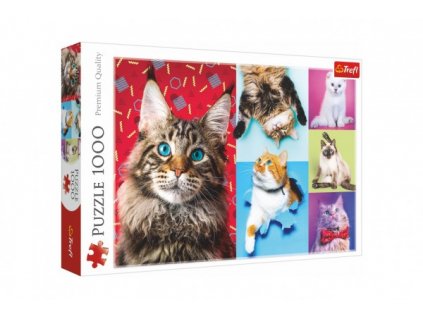 Puzzle Šťastné mačky 1000 dielikov 68,3x48cm v krabici 40x27x6cm