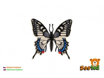 Motýľ tropický Papilio/vidlochvost feniklový