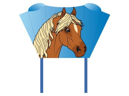 5393 sleddy pony vreckovy sarkan