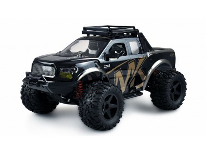 RC auto WARRIOR Desert Truck 4WD, 1:10, RTR, zlatá