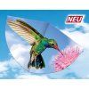 11140 sarkan kolibri 75x48 cm