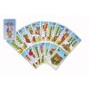 Prší jednohlavé detské spoločenská hra - karty v plastovej krabičke 7x11x2cm