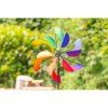 39809 1 veternik rainbow swirl