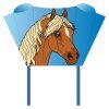 5393 sleddy pony vreckovy sarkan