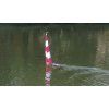 558 4 graupner sj plachetnica rg 65 stavebnice 21009