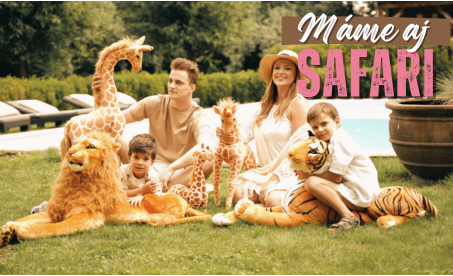 Safari