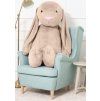 figo 160 beige