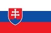 Flag_of_Slovakia_100x66
