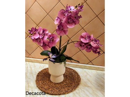 Orchideje aranžmá
