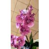 Orchideje aranžmá