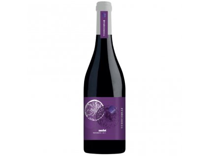 Terre di Rai Merlot IGT 0,75 l new 2 min