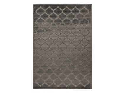 Kusový koberec Amira 201 Grey  Kusový koberec s velmi jemným povrchem. Jemný polypropylen, moderní vzhled, 3D efekt, jutový rub.