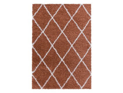 Kusový koberec ALVOR 3401, Terra  Kusový koberec